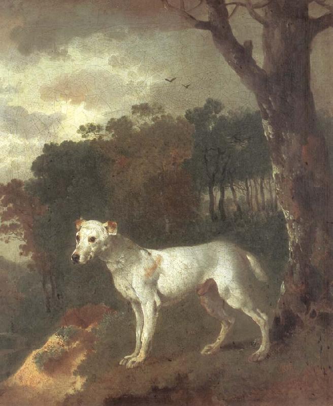 Thomas Gainsborough Bumper,a Bull Terrier oil painting picture